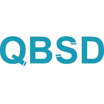 Qué Bajón Ser Delarrúa (QBSD)