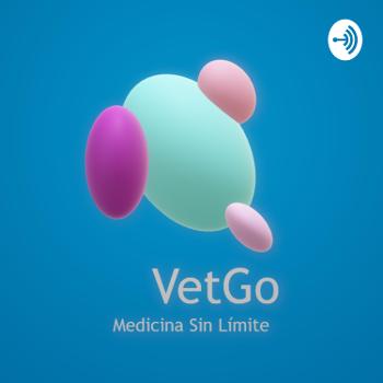 VetGo - Una visión a la realidad del médico veterinario y como cuidar a tu mascota realmente