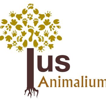 Ius Animalium