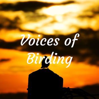 Voices of Birding History
