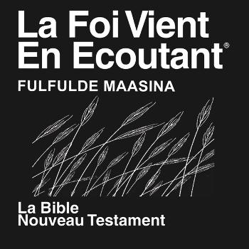 Fulfulde Maasina Bible (Non Dramatisé ) - Fulfulde Maasina Bible (Non-Dramatized)