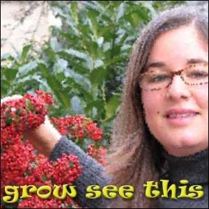 Grow See This: Podcast (mp4)