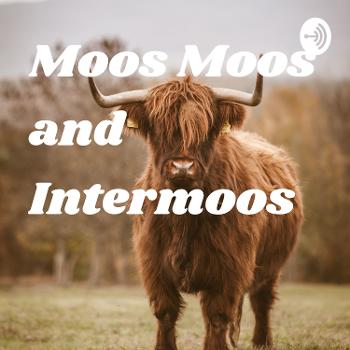 Moos Moos and Intermoos