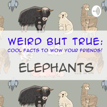 Weird But True: Cool Facts to Wow Your Friends!