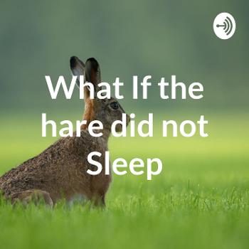 What If the hare did not Sleep