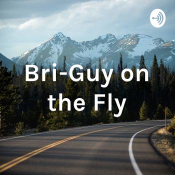 Bri-Guy on the Fly