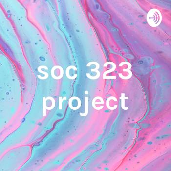 soc 323 project