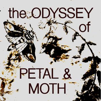 The Odyssey of Petal