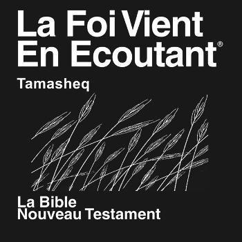 Tamasheq Bible (non dramatisée)  - Tamasheq Bible(Non-Dramatized)