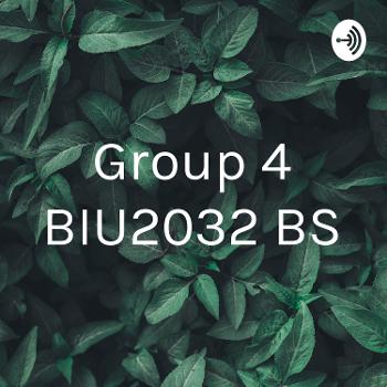 Group 4 BIU2032 BS