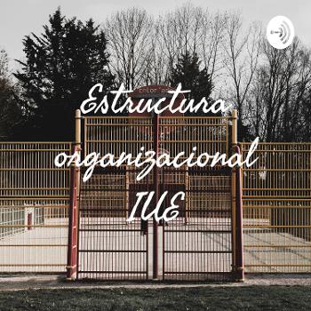 Estructura organizacional IUE