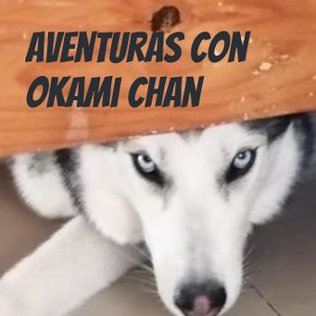 Aventuras con Okami chan
