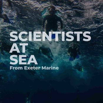 Scientists at Sea