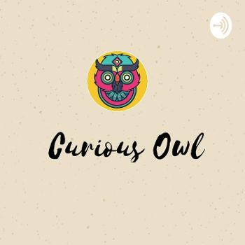 Curious Owl