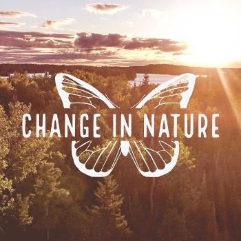 Change in Nature 2