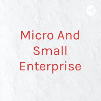 Micro And Small Enterprise