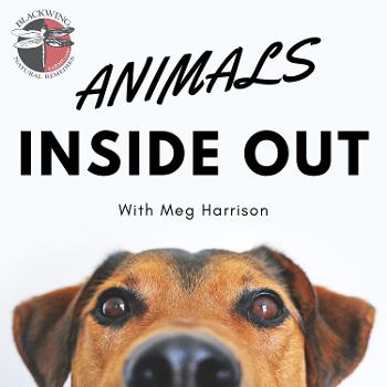 Animals Inside Out