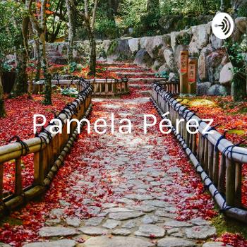 Pamela Pérez - Proyecto Integrador