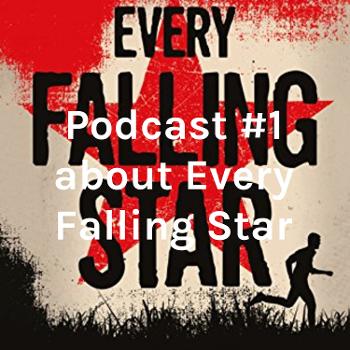 Podcast #1 about Every Falling Star