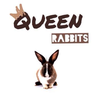 Queen Rabbits