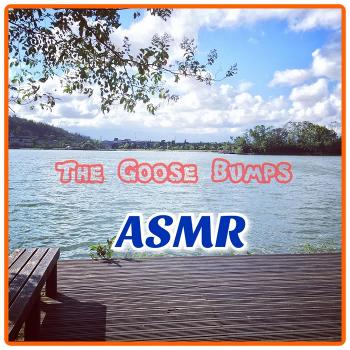 The Goose Bumps ASMR "G皮疙瘩"