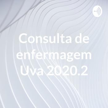 Consulta de enfermagem Uva 2020.2