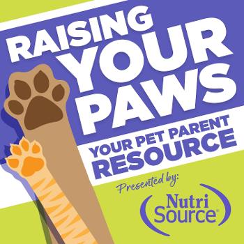 Raising Your Paws- Your resource for dog