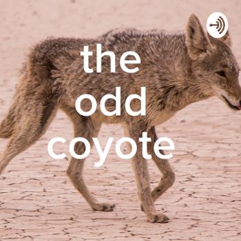 The Odd Coyote