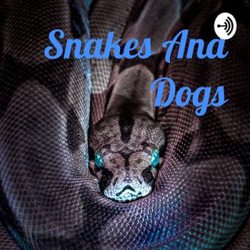 Snakes And Dogs