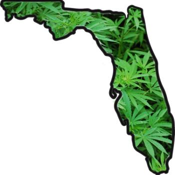 Florida Pot Cast