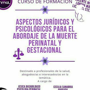 Curso Abordaje Jurídico Y Psicológico De La Muerte Perinatal