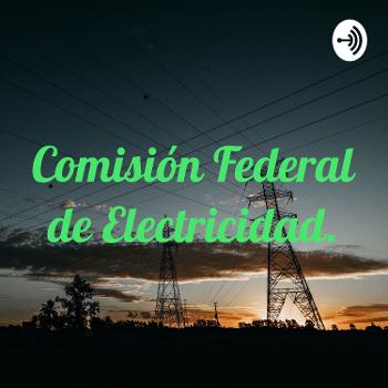 Comisión Federal de Electricidad.