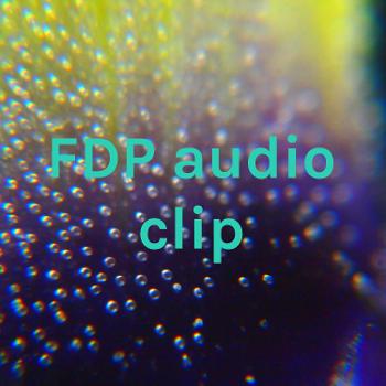 FDP audio clip