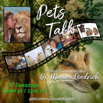 Pets Talk: with Pet Communicator Dr. Monica Diedrich