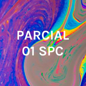 PARCIAL 01 SPC