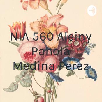 NIA 560 Aleiny Pahola Medina Perez