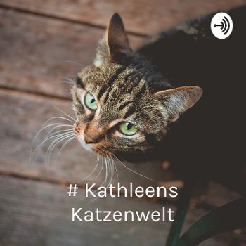 # Kathleens Katzenwelt - Wie beschäftige ich eine Katze?
