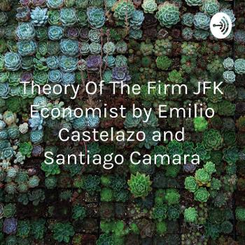 Theory Of The Firm JFK Economist by Emilio Castelazo and Santiago Camara