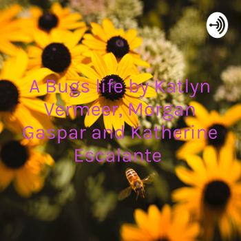 A Bugs life by Katlyn Vermeer, Morgan Gaspar and Katherine Escalante