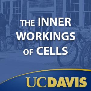 The Inner Workings of Cells, Winter 2008