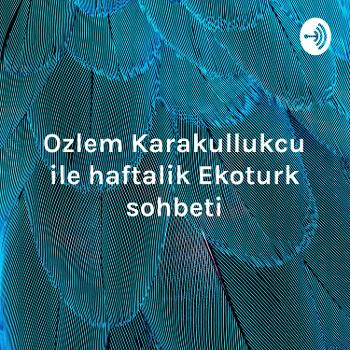 Ozlem Karakullukcu ile haftalik Ekoturk sohbeti: Volkan Bozkir'in secilmesi, Turkiye-Fransa gerginli