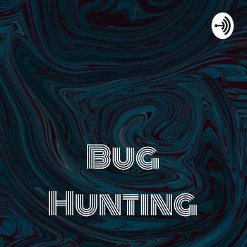 Bug Hunting: Beginner To Professional