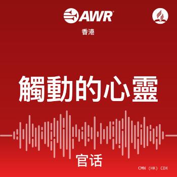 AWR Mandarin (官话) Chinese (CDX  觸動的心靈)