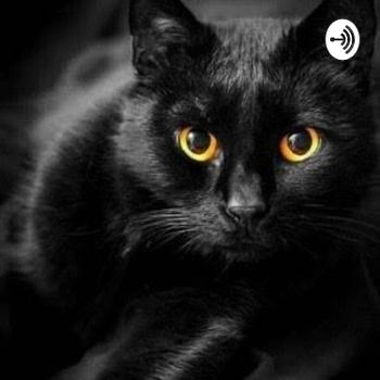 O Gato Preto - Edgar Allan Poe (Reflexões)