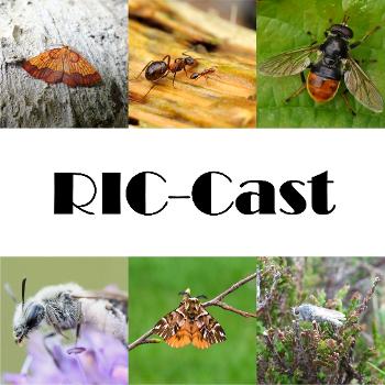 RIC-Cast