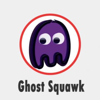 The GhostSquawk Experience (GSE)