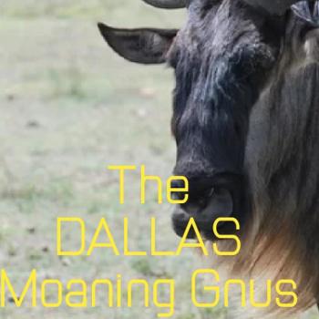 The DALLAS Moaning Gnus
