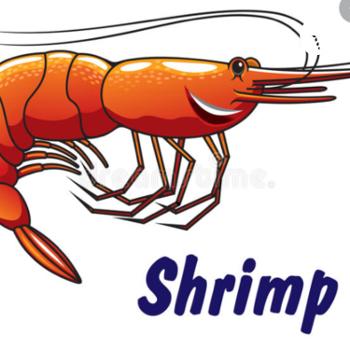 Shrimp see saw
