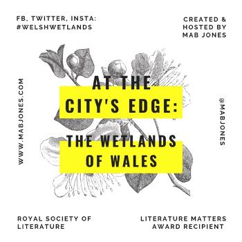 At the City's Edge: the Wetlands of Wales