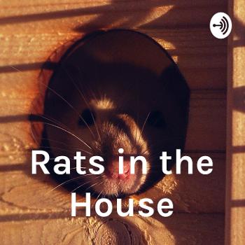 Rats in the House